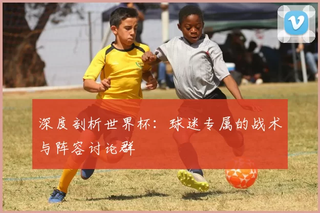 深度剖析世界杯：球迷专属的战术与阵容讨论群