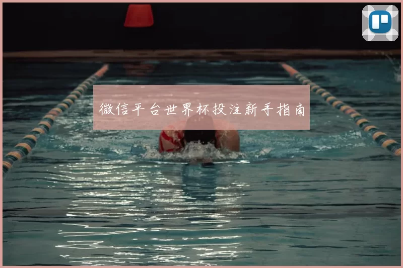 微信平台世界杯投注新手指南