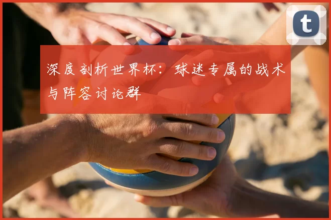 深度剖析世界杯：球迷专属的战术与阵容讨论群