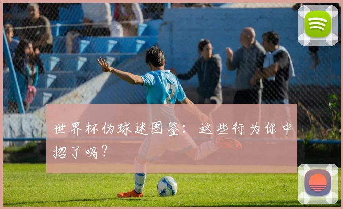 世界杯伪球迷图鉴：这些行为你中招了吗？