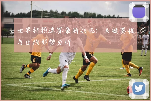 世界杯预选赛最新战况:关键赛程与出线形势分析