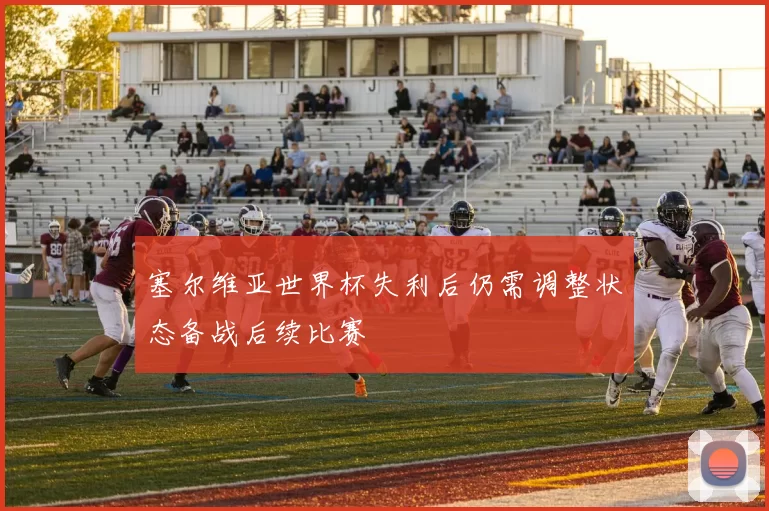 塞尔维亚世界杯失利后仍需调整状态备战后续比赛