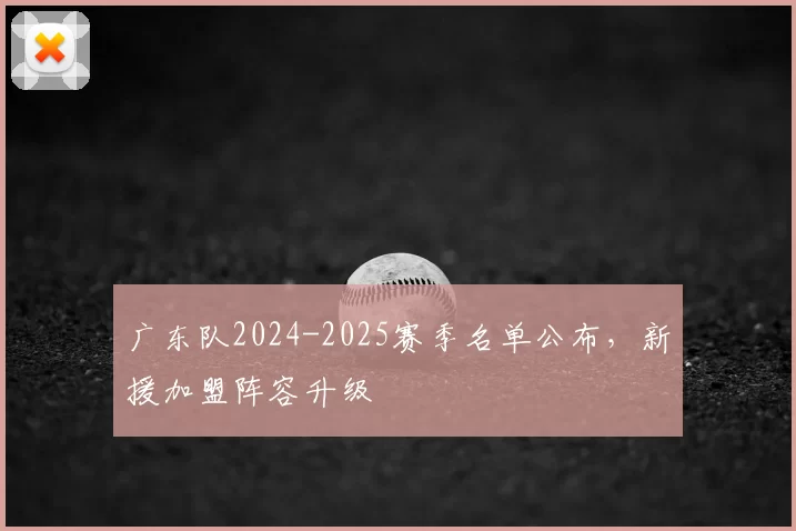 广东队2024-2025赛季名单公布,新援加盟阵容升级