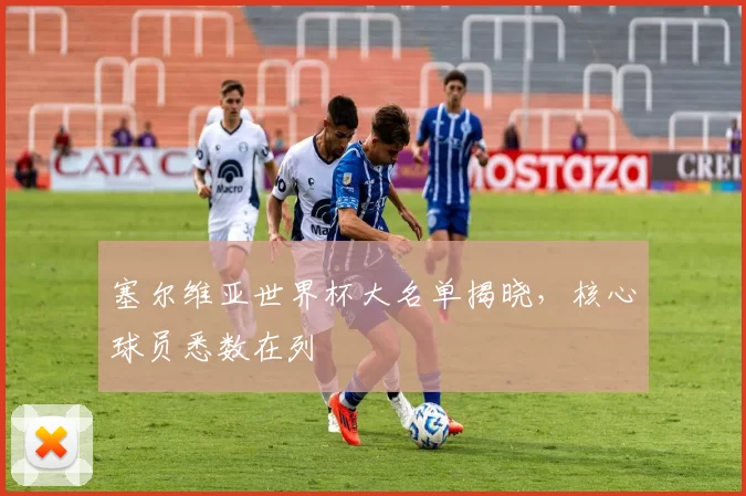 塞尔维亚世界杯大名单揭晓,核心球员悉数在列