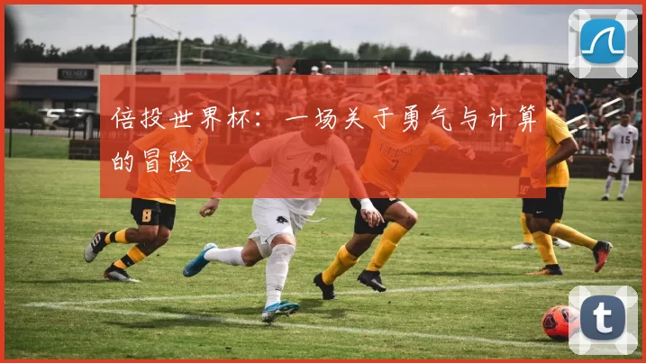 倍投世界杯：一场关于勇气与计算的冒险