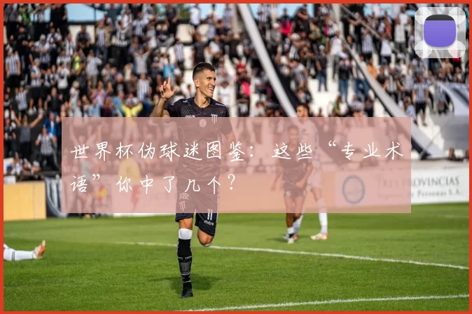 世界杯伪球迷图鉴:这些“专业术语”你中了几个?