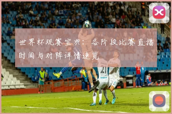 世界杯观赛宝典：各阶段比赛直播时间与对阵详情速览