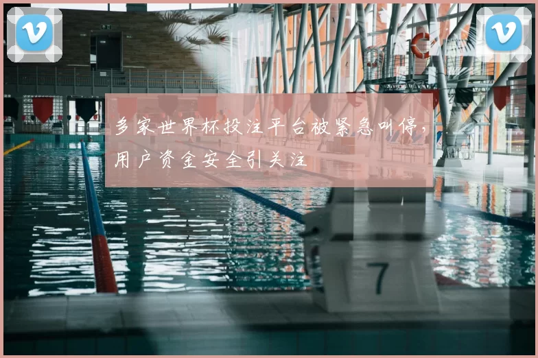 多家世界杯投注平台被紧急叫停,用户资金安全引关注