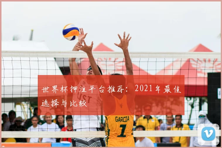 世界杯押注平台推荐：2021年最佳选择与比较