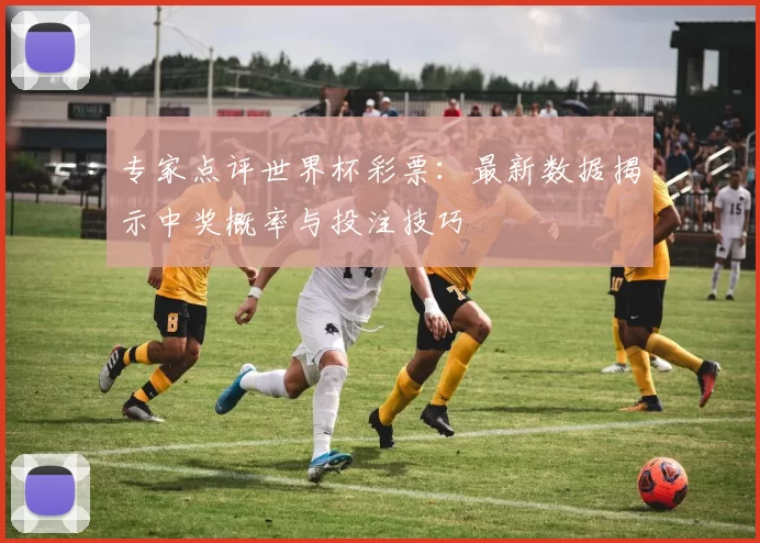 专家点评世界杯彩票：最新数据揭示中奖概率与投注技巧