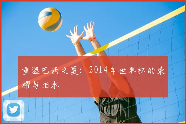 重温巴西之夏：2014年世界杯的荣耀与泪水